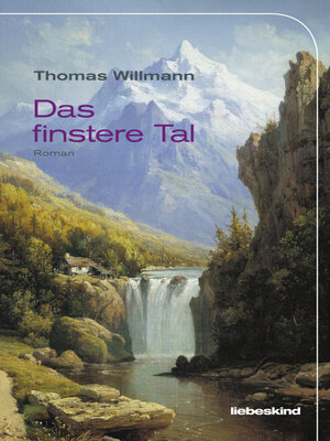 cover image of Das finstere Tal